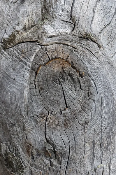 Axe uříznuté dřevo pozadí s uzel — Stock fotografie