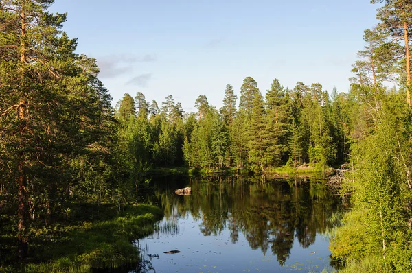 Klein bos meer in Karelië — Stockfoto