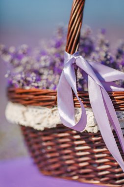 Hoş kokulu çiçek açan lavanta lavanta alan sepet içinde