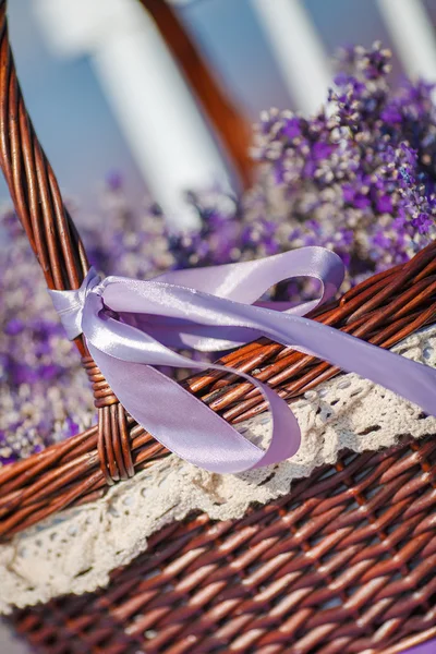 Fragrant blooming lavender in a basket on a lavender field — Stock Photo, Image