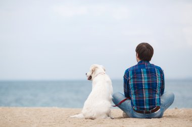 Yaz sahilinde köpeğiyle birlikte kameraya geri oturan adam