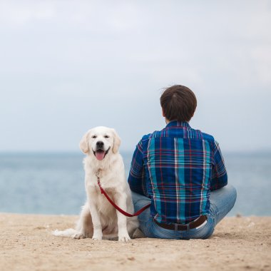 Yaz sahilinde köpeğiyle birlikte kameraya geri oturan adam