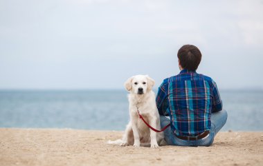 Yaz sahilinde köpeğiyle birlikte kameraya geri oturan adam