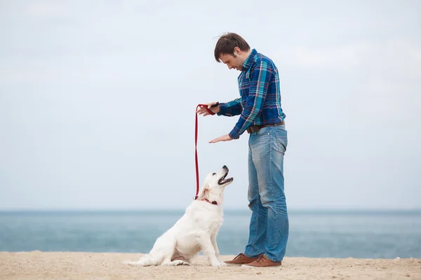 Homem e cão se divertindo à beira-mar . — Fotografia de Stock