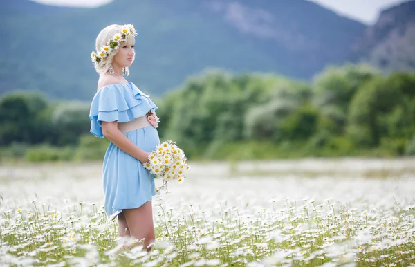 Mulher grávida em um campo de margaridas brancas florescendo — Fotografia de Stock