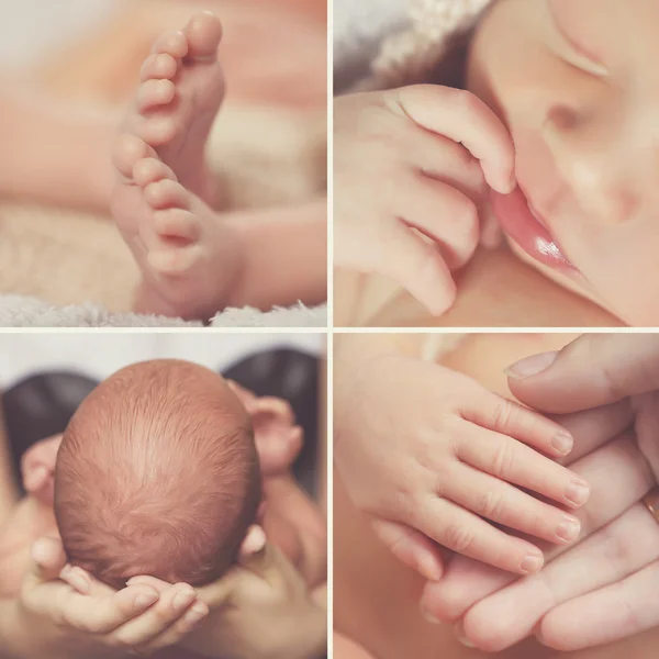 Zbliżenie kolaż, noworodek, części ciała — Zdjęcie stockowe