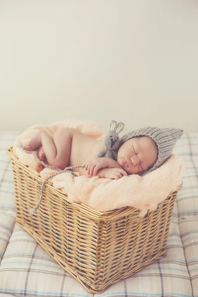 Doce sonho bebê recém-nascido em uma grande cesta — Fotografia de Stock