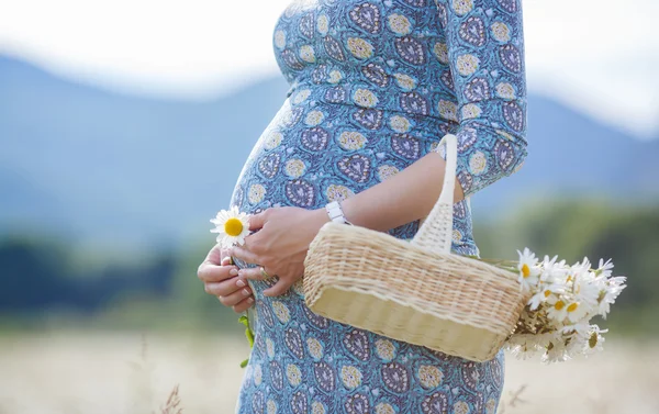 Mujer embarazada en el campo con cesta de margaritas blancas — Foto de Stock