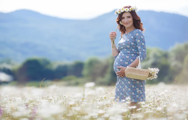 Kobieta w ciąży w polu z koszem białych stokrotki — Zdjęcie stockowe