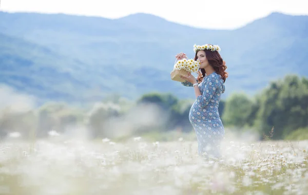 Zwangere vrouw in veld met mand van witte madeliefjes — Stockfoto