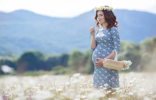 Kobieta w ciąży w polu z koszem białych stokrotki — Zdjęcie stockowe