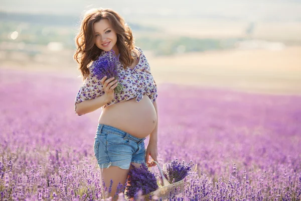 Mulher grávida bonita no campo de lavanda . — Fotografia de Stock