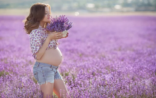 Mooie zwangere vrouw op het gebied van lavendel. — Stockfoto