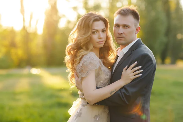 Momenti romantici di una giovane coppia di sposi sul prato estivo — Foto Stock