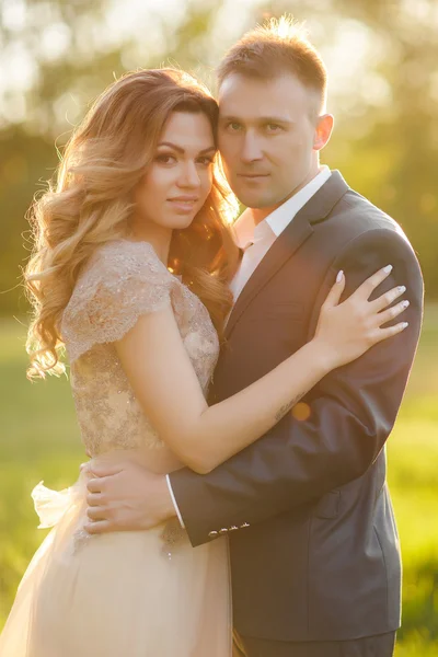 Romantic moments of a young wedding couple on summer meadow — Stock Photo, Image