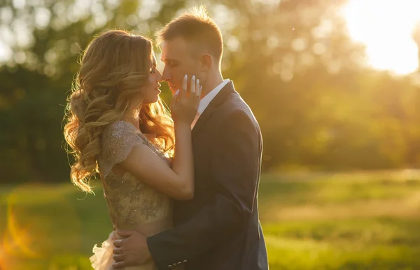 Romantic moments of a young wedding couple on summer meadow — Stock Photo, Image
