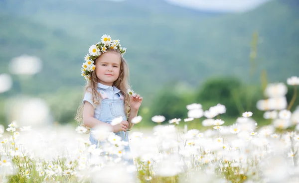 Beyaz papatya bir çelenk, küçük kız — Stok fotoğraf