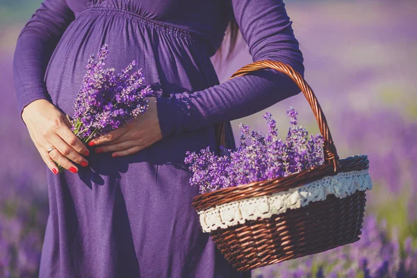 Een zwangere vrouw is genieten van de kleur lavendel — Stockfoto