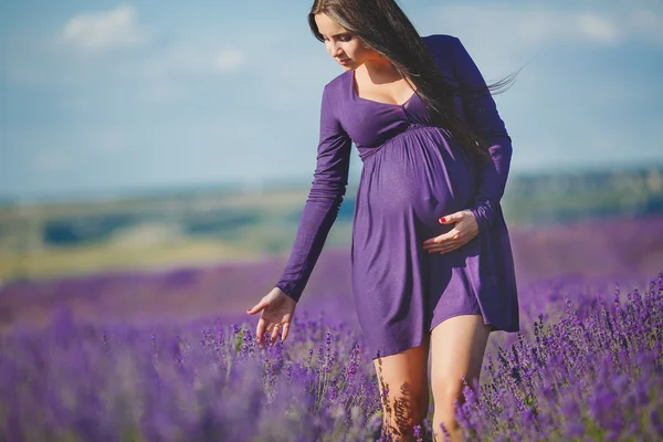 妊娠中の女性は色ラベンダーを楽しんでいます。 — ストック写真