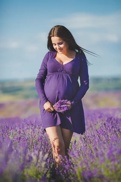 Una mujer embarazada está disfrutando del color Lavanda —  Fotos de Stock
