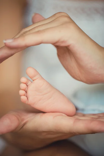 Bebé recién nacido pies en manos de la madre . —  Fotos de Stock