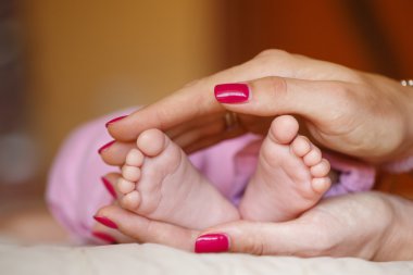 Yenidoğan'ın bacakları annenin kibar ellerde