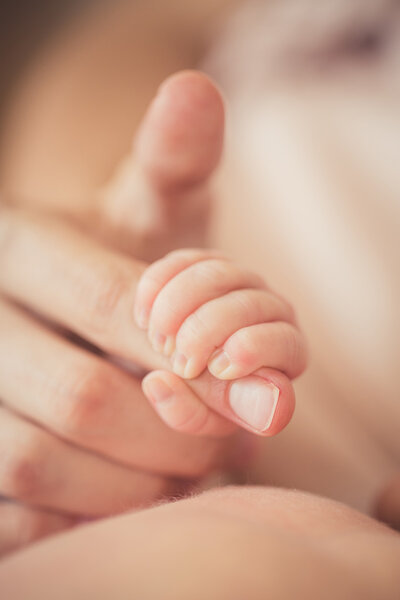 Baby hand gently holding adult's finger