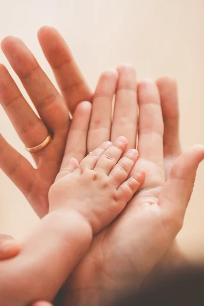 Palma recién nacida en la palma de su padre y su madre — Foto de Stock