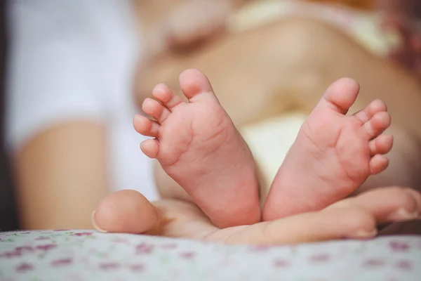 De pasgeboren baby's benen in zachte handen van moeder — Stockfoto