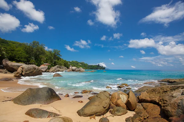 Playa tropical virgen en Sri Lanka . — Foto de Stock