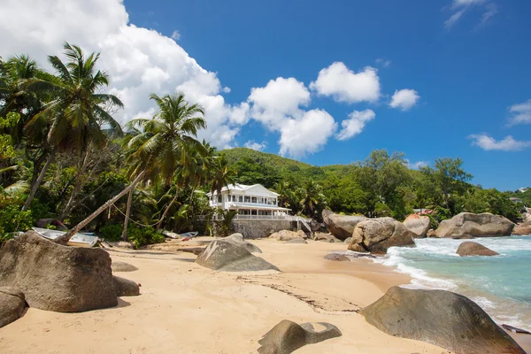 Playa tropical virgen en Sri Lanka . —  Fotos de Stock