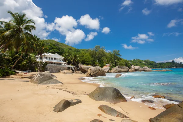 Playa tropical virgen en Sri Lanka . — Foto de Stock