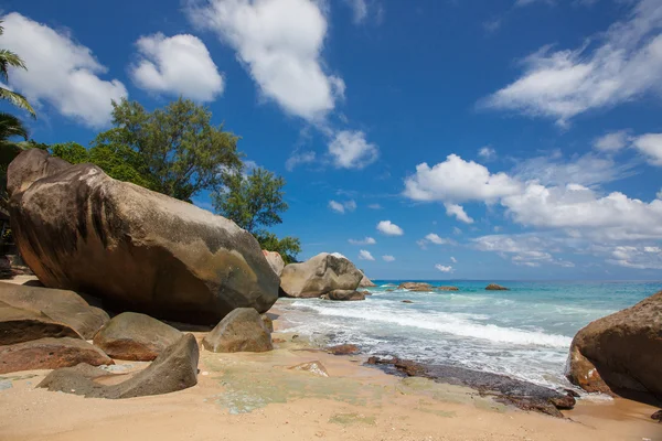 Playa tropical virgen en Sri Lanka . — Foto de Stock