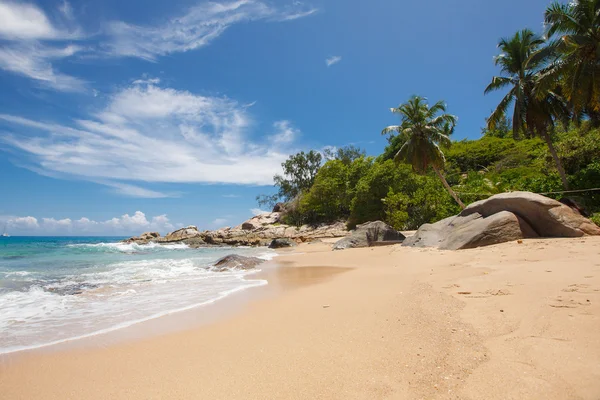 Spiaggia tropicale incontaminata nello Sri Lanka . — Foto Stock