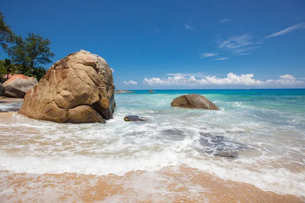 Pilaantumaton trooppinen ranta Sri Lankassa . — kuvapankkivalokuva