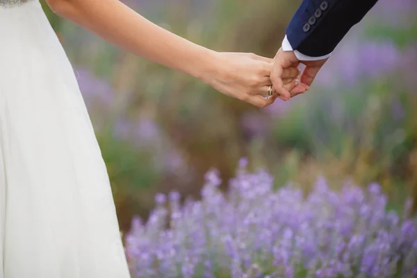 Campo de lavanda de casamento . — Fotografia de Stock