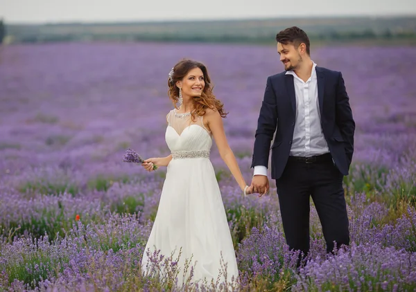 Hochzeit Lavendelfeld. — Stockfoto