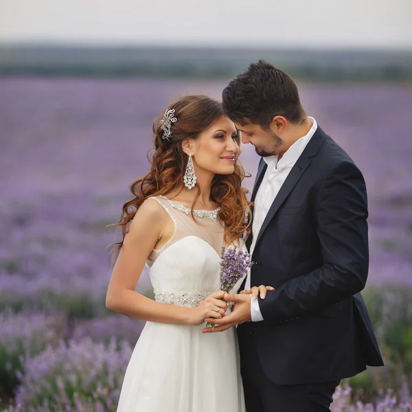 Campo de lavanda de casamento . — Fotografia de Stock