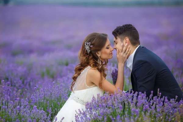 Hochzeit Lavendelfeld. — Stockfoto