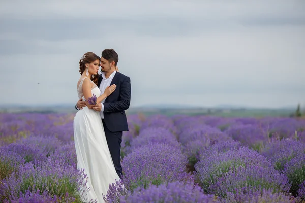 Hochzeit Lavendelfeld. — Stockfoto