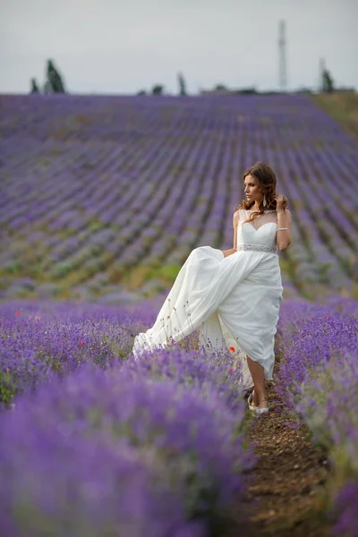 Bella sposa in abito da sposa in campo lavanda — Foto Stock