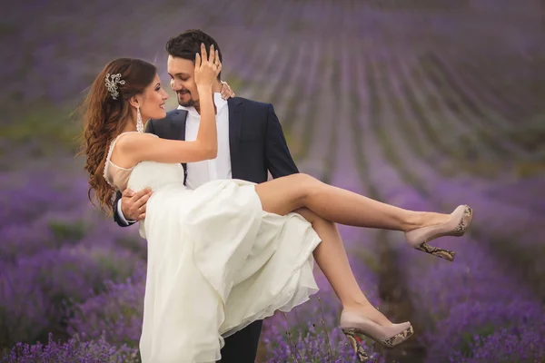 Campo de lavanda de casamento . — Fotografia de Stock