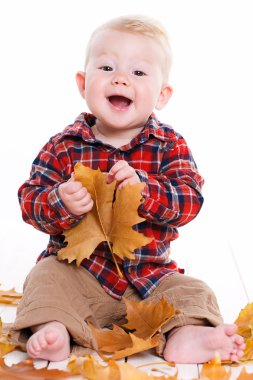 Küçük çocuk akçaağaç zemin üzerinde oynamaya kalkıyor.