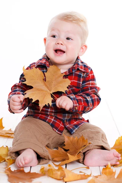 Kleine jongen spelen op de verdieping met esdoorn bladeren. — Stockfoto