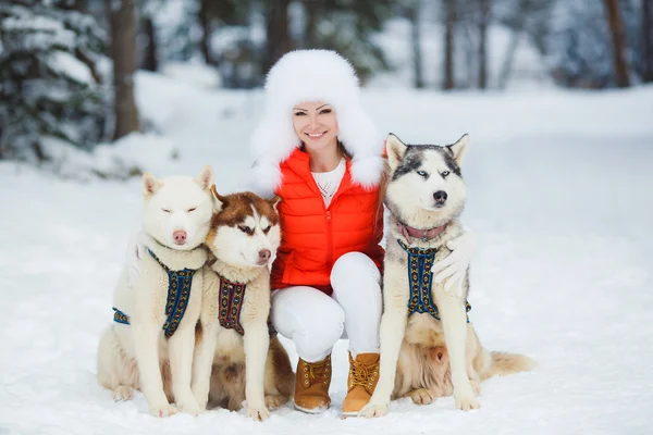 Retrato de uma mulher bonita com huskies siberianos Husky . — Fotografia de Stock