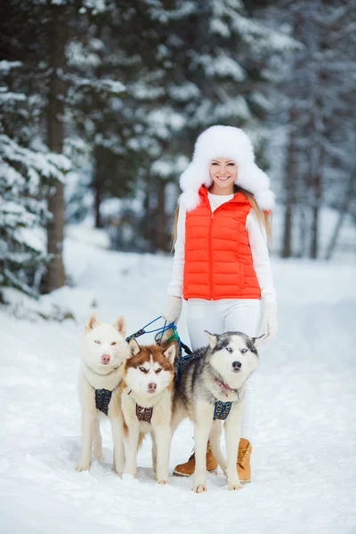 Retrato de una hermosa mujer con huskies siberianos - Husky . — Foto de Stock