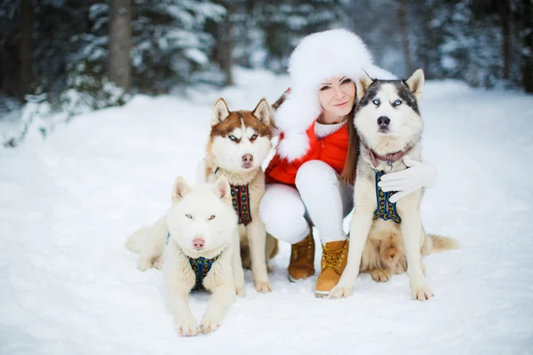 Portrait d'une belle femme avec des huskies sibériens - Husky . — Photo