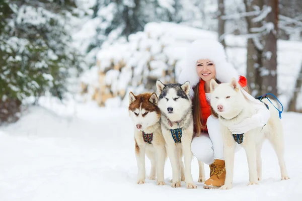 Portrait of a beautiful woman with Siberian huskies - Husky. — Stock Photo, Image