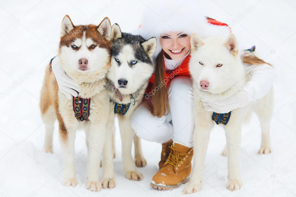 Portrait of a beautiful woman with Siberian huskies - Husky.