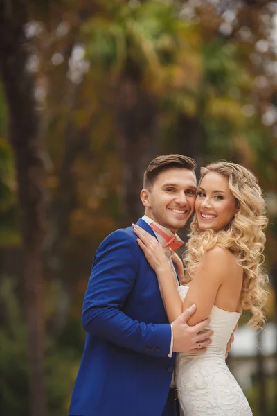 The bride and groom - the photograph in the Park. — Stock Photo, Image